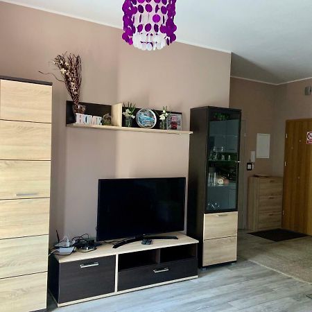 Sunny Apartment Bielsko-Biała Eksteriør billede