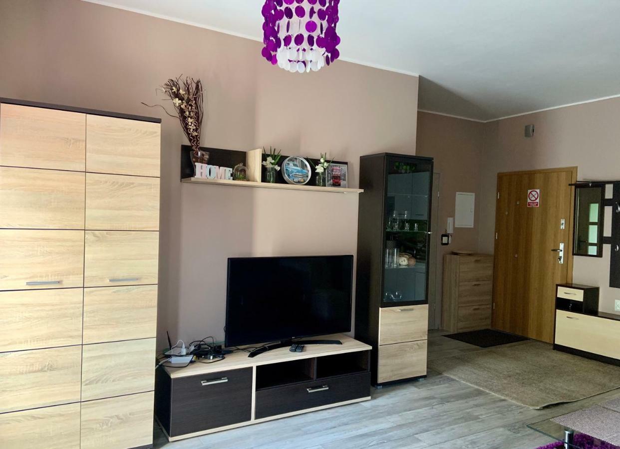 Sunny Apartment Bielsko-Biała Eksteriør billede